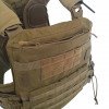 Плитоноска AVS Coyote [GRAD GEAR]