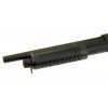 CM.350 [CYMA]