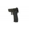 P-226 MK25 KP-01 pistol replica (green gas)